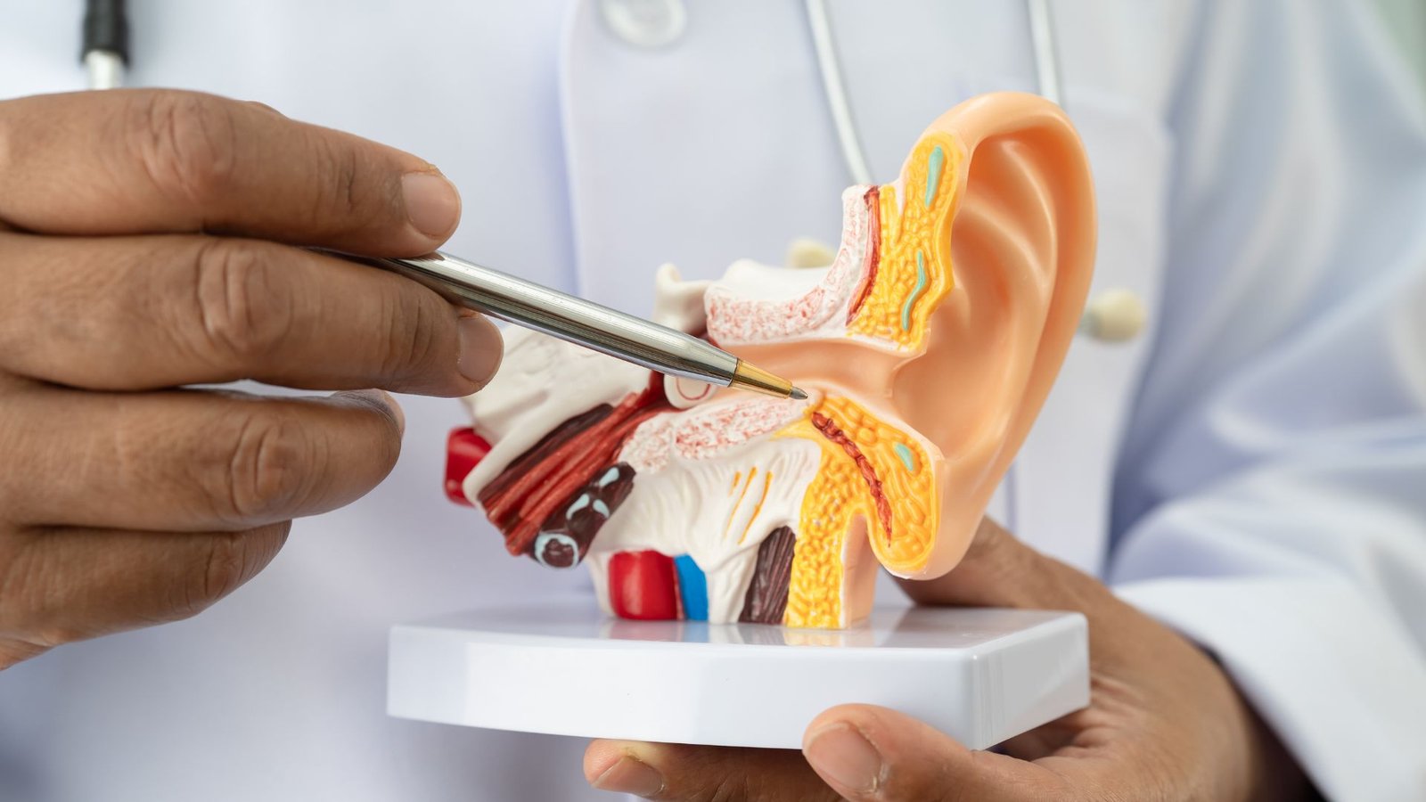 marketing for ENT and AUD practices