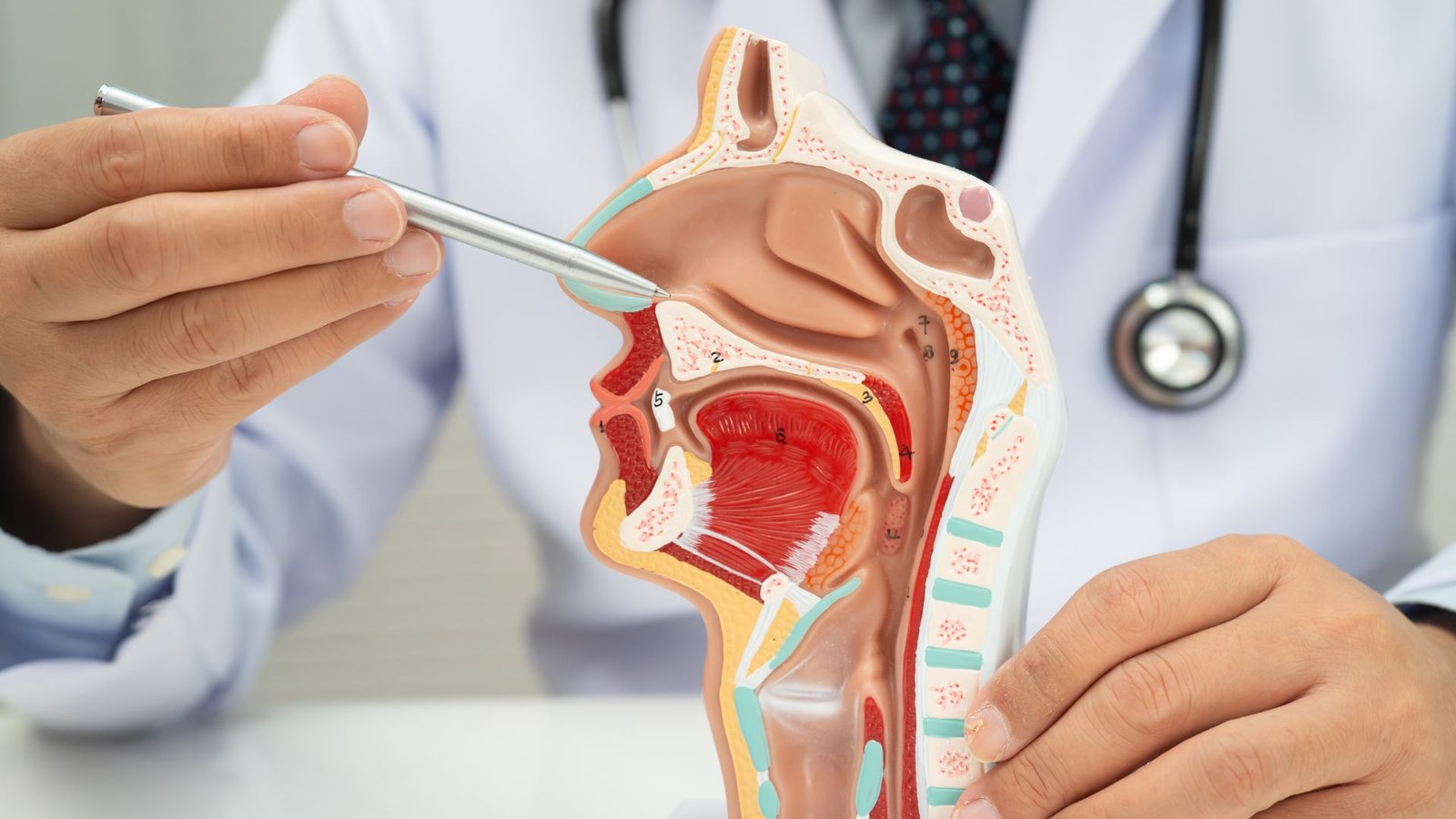 marketing for ENT practices