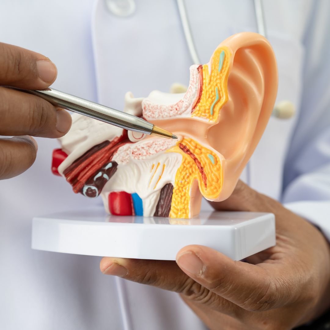 ENT and audiology marketing for hearing care, sinus care, and local patient growth